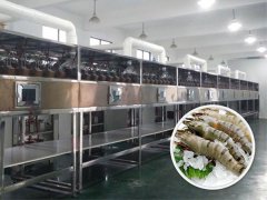 微波烘干设备 