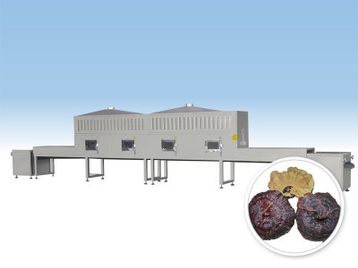 灵芝-微波干燥设备